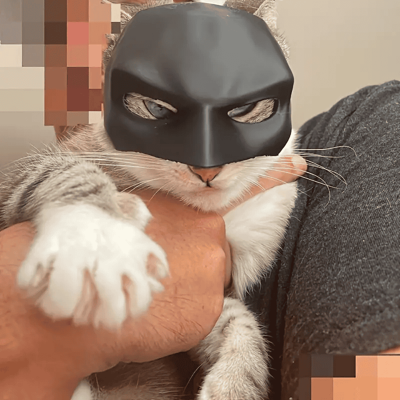 BatCat Maske