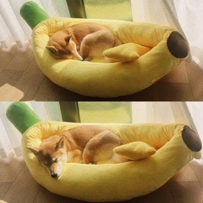 Bananen Nest