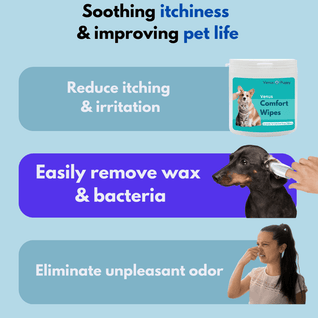 Venus - Comfort Wipes