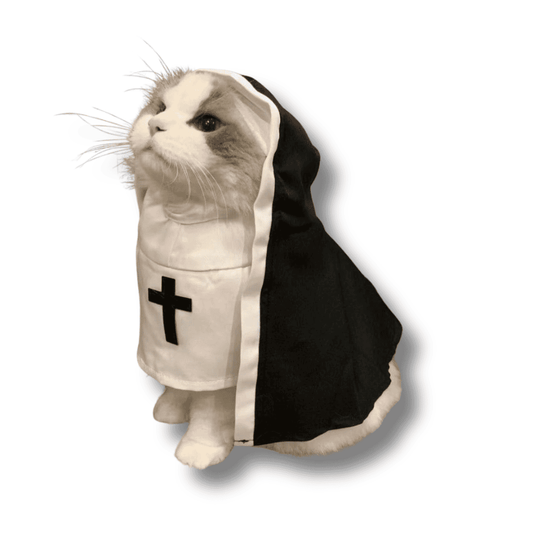 NUN Costume